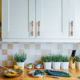 Asidrama 3768 Cabinet Pull Handles for Kitchen Cabinets