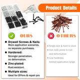 Stainless Steel Screws Assortment Kit for Home Repairs