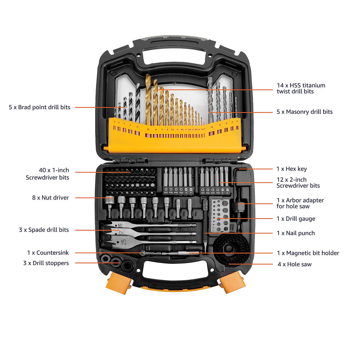 100-Piece Drill & Driver Bit Set with Storage Case